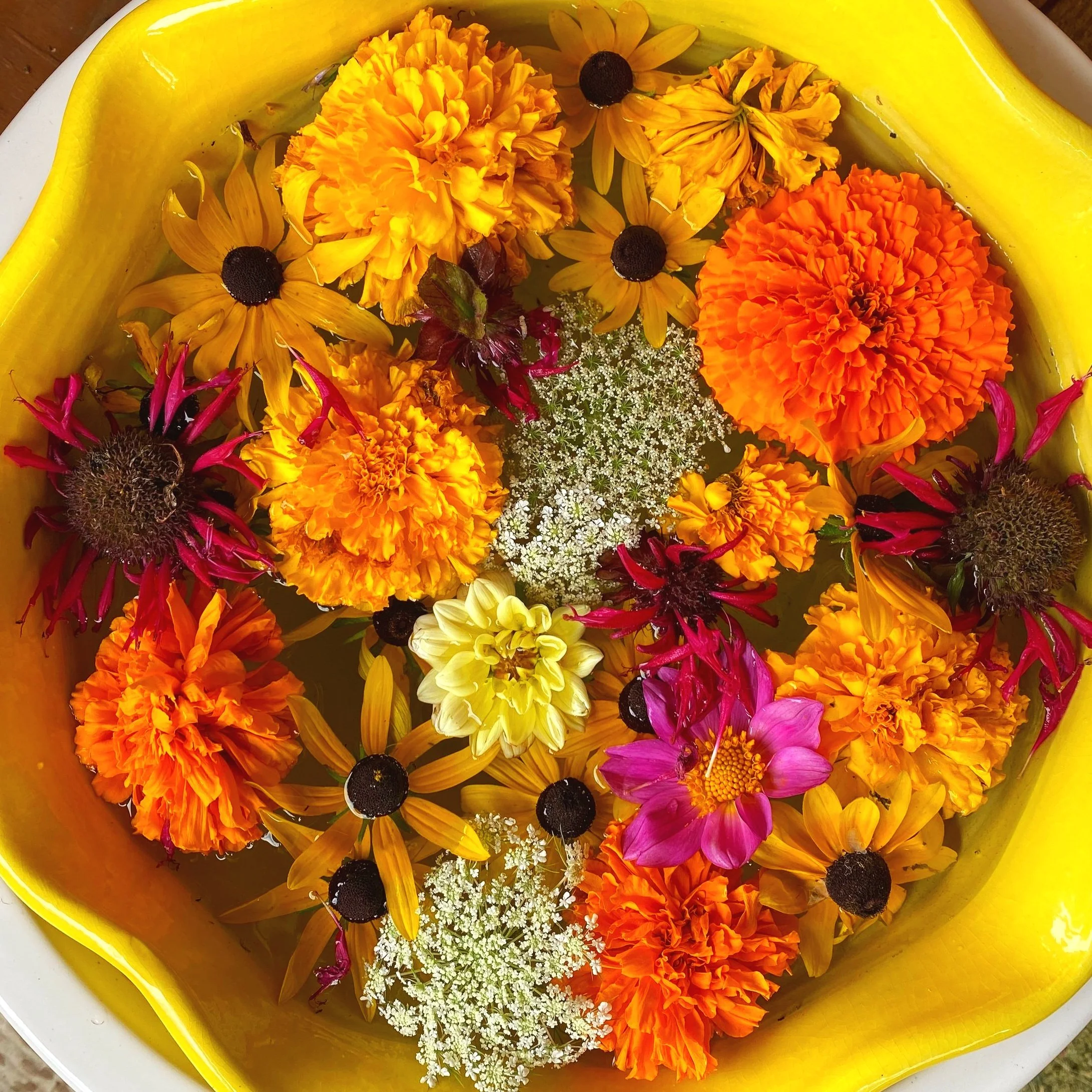 Full Season Flower CSA Share - 22 Weeks — Goronson Farm